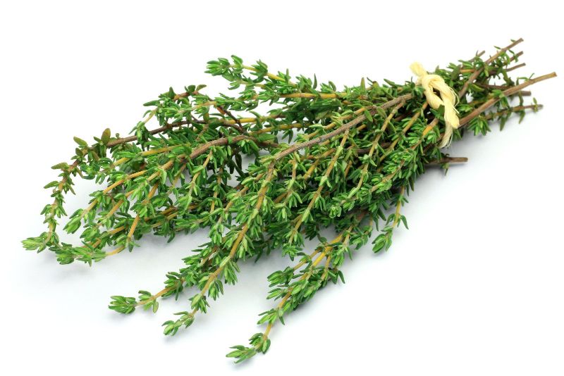 What Is A Sprig Of Thyme